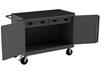 36/48&quot; W MOBILE BENCH CABINETS